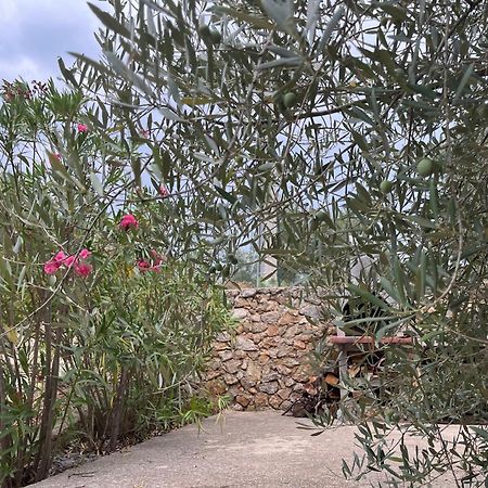 Apartman Ruza Brzac Εξωτερικό φωτογραφία